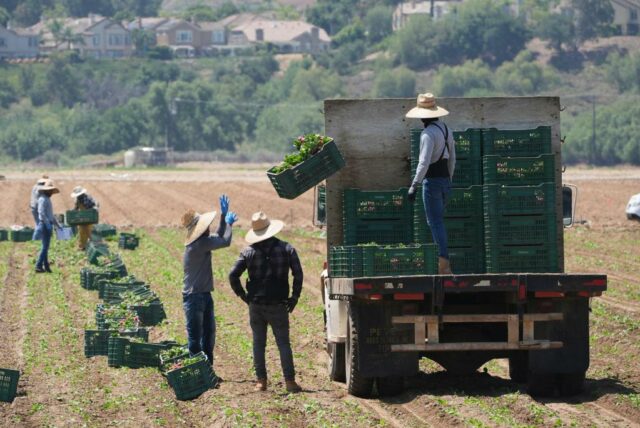 Walters: os políticos da Califórnia ignoram os problemas da agricultura, mas promovem o negócio de cinema

