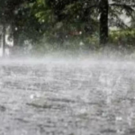 West Pradesh: Chuvas leves, ventos de ventos do calor das agulhas no Aval