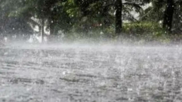 West Pradesh: Chuvas leves, ventos de ventos do calor das agulhas no Aval

