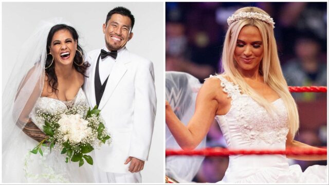 5 mulheres da WWE mais de 40 anos

