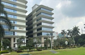 6 produtores de arroz serão examinados, o escândalo ocupado dos anos é detectado 6 produtores de arroz serão examinados, o escândalo ocupado dos anos é detectado