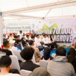 70 mil mangue de mangue em Palu, Fathur Razaq: Caridade natural e mantenha a terra