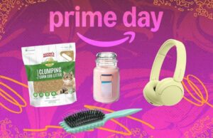 8 acordos do primeiro dia que são tão bons, nós os compramos 8 acordos do primeiro dia que são tão bons, nós os compramos