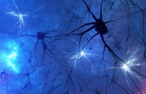 A descoberta de Parkinson pode ajudar a evitar a perda do pátio A descoberta de Parkinson pode ajudar a evitar a perda do pátio