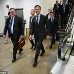 Secretário da OTAN -General Mark Rutte (C) disse ao Pacote Daily Mail New Us Arm para a Ucrânia financiado pela Europa será