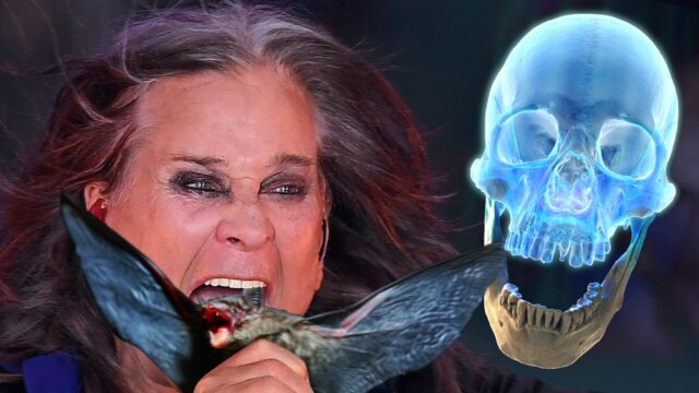 Ozzy Osbourne Jaw 'So Bat 2