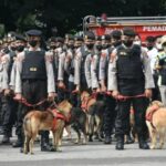A polícia ajuda a manter a segurança alimentar, observador: a tarefa policial nacional não é apenas a polícia