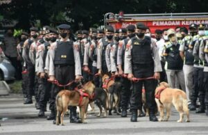 A polícia ajuda a manter a segurança alimentar, observador: a tarefa policial nacional não é apenas a polícia A polícia ajuda a manter a segurança alimentar, observador: a tarefa policial nacional não é apenas a polícia