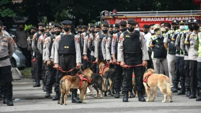 A polícia ajuda a manter a segurança alimentar, observador: a tarefa policial nacional não é apenas a polícia

