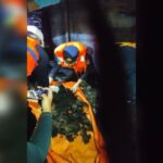A polícia revelou os fatos surpreendentes sobre a descoberta de ossos no queimado KM Barcelona