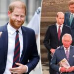 A última vítima do quarto do príncipe Harry para o pai afastado rei Charles, o irmão príncipe William revelou