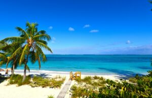 A violência sem precedentes é paraíso tropical quando um ataque brutal de boate deixa mais mortos A violência sem precedentes é paraíso tropical quando um ataque brutal de boate deixa mais mortos