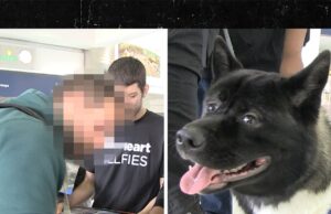 Adivinha quem é o ex -homem de aço! Adivinhe-u-henry-katakil-kal-07-209-2025