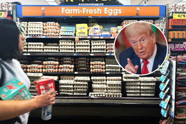 Administrador da AMM Trump Salfies California para o crescimento dos preços dos ovos

