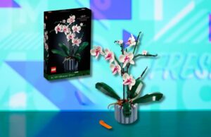 Agora, pontue a orquídea LEGO Botanicals à venda por menos de US $ 40 no momento Agora, pontue a orquídea LEGO Botanicals à venda por menos de US $ 40 no momento
