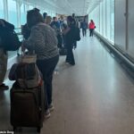 As áreas do Terminal 3 de Heathrows foram evacuadas nesta manhã, enquanto um alarme de incêndio foi investigado, o que os passageiros disseram que haviam causado enormes filas para controle de passaporte