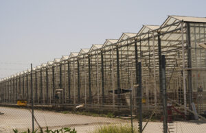 Angariação de fundos para Addrick Worked morto nos ataques de tops ingleses $ 150k Angariação de fundos para Addrick Worked morto nos ataques de tops ingleses $ 150k