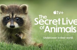 Apple TV+ Docusseries marca 6 indicações para o dia Emmy Awards Apple TV+ Docusseries marca 6 indicações para o dia Emmy Awards