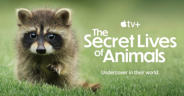 Apple TV+ Docusseries marca 6 indicações para o dia Emmy Awards

