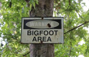 Aquele que não deve ser chamado: Bigfoot Hairy Creature Emoji estará chegando em breve Oito novos emoji exibidos