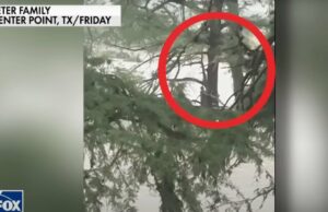 As inundações de resgate da mulher do Texas capturadas na câmera depois de liderarem seu vídeo de 20 quilômetros Jogando