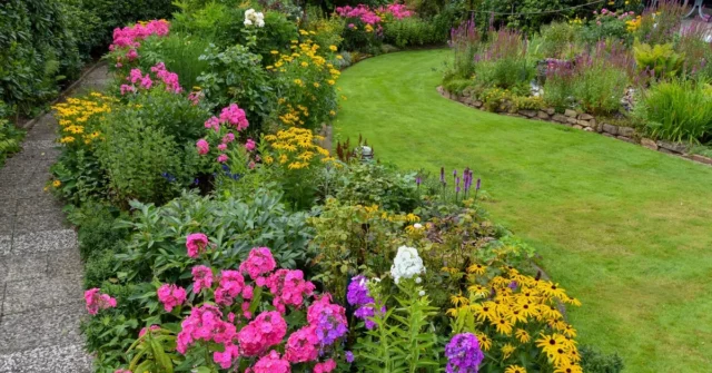 As plantas perenes mais bonitas que há muito vêm no inverno do país. Flores de longo prazo para o jardim sem cavar

