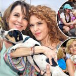 Atraindo uma casa de cachorro: belos animais se reúnem com as estrelas em Shubert Alley para o evento de adoção da Broadway Barks