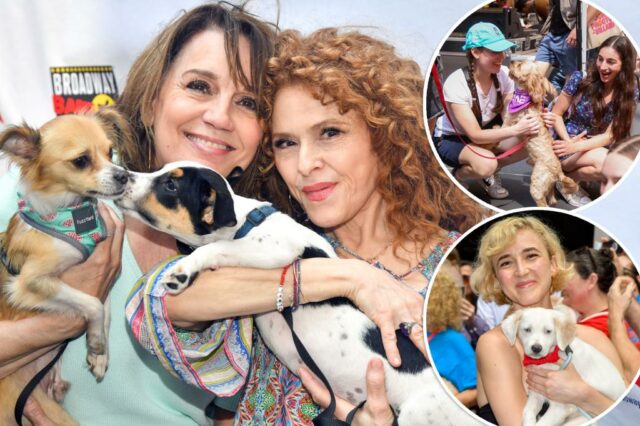 Atraindo uma casa de cachorro: belos animais se reúnem com as estrelas em Shubert Alley para o evento de adoção da Broadway Barks

