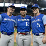 Avaliação da possibilidade de Cubs Slim faz a terra do terreno comercial zero