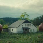 "Better to Crazy in the Wild" assume o prêmio máximo em Karlovi Vary Film Festival