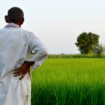 Bihar Bihar Balchar Balcar Balcelimize Dehkan Farms, Face