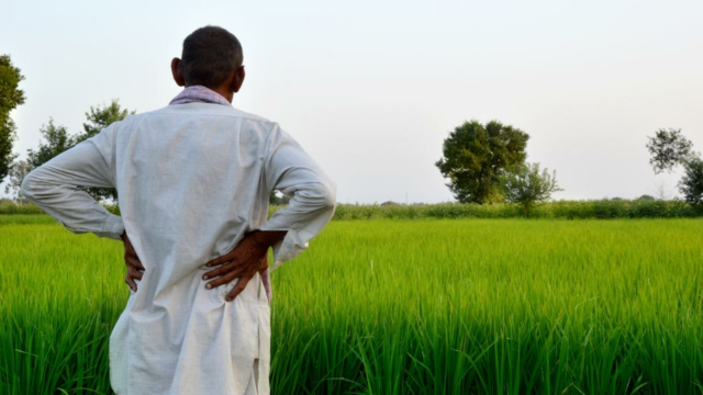 Bihar Bihar Balchar Balcar Balcelimize Dehkan Farms, Face

