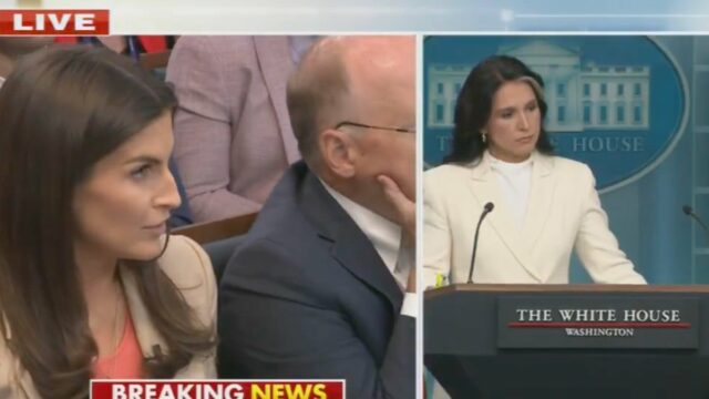 CNNs Kaitlan Collins entra na discussão acalorada com eles com Tulsi Gabbad: "O presidente a minou publicamente"


