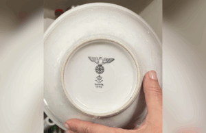 Cara, visite a tia de 90, horror para quais cães você bebe Cara, visite a tia de 90, horror para quais cães você bebe