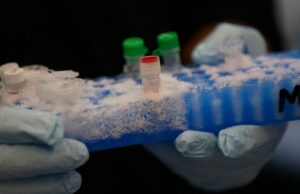 Cartas: Investimentos na ciência são investimentos em inovação e nossa economia Cartas: Investimentos na ciência são investimentos em inovação e nossa economia