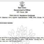 Certificado de residência de residência para "cachorro" cachorro "cachorro" cachorro "cachorro"; vendas enviadas após uma postagem viral