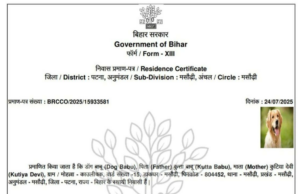 Certificado de residência de residência para “cachorro” cachorro “cachorro” cachorro “cachorro”; vendas enviadas após uma postagem viral Certificado de residência de residência para "cachorro" cachorro "cachorro" cachorro "cachorro"; vendas enviadas após uma postagem viral