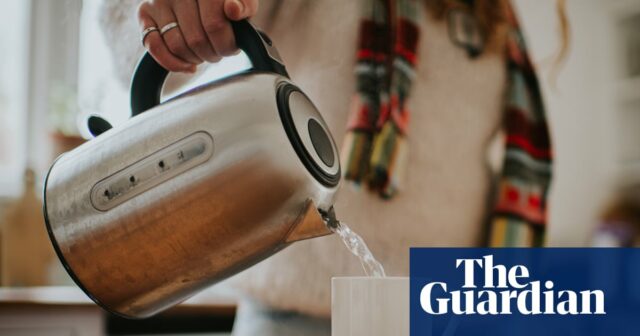 Chá no microondas? Por que Gene desiste de caldeiras para fazer uma bebida

