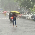 Chuva chuvosa de Musson 7 % das áreas normais, mas desaparece