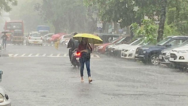 Chuva chuvosa de Musson 7 % das áreas normais, mas desaparece

