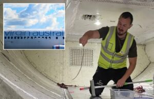 Cobra no avião atrasa o vôo: “Ele parecia muito perigoso” Hunter Snake, Mark Pelley, levanta a inofensiva cobra de árvore verde de 2 pés do aeroporto do aeroporto de Melbourne em 1º de julho de 2025.