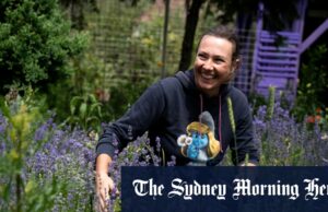 Como míssil e uma cabeça de mosca ágil, Tatyana se recusando a parar de plantar Olena e Maryna, cujas vidas são moldadas pela guerra na Ucrânia, foram estudar para aprender a transformar a família Sling na manutenção.