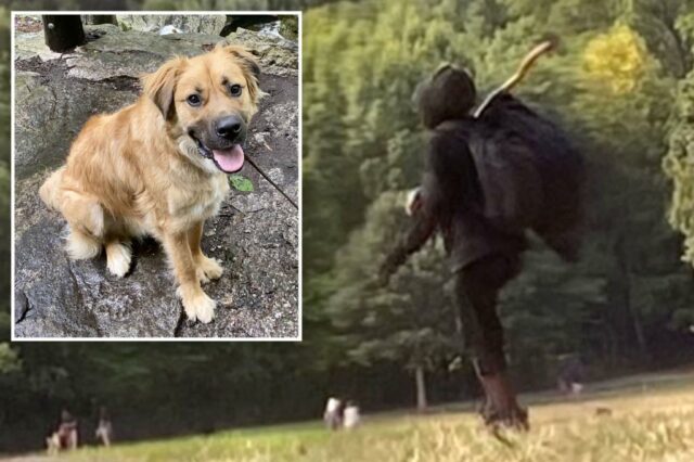Crazy Prospect Park "Killer Dog Killer" de volta aos seus antigos caminhos, ameaça atirar no dono do animal

