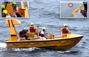 Cruzeiro da Disney O passageiro se assemelha a sons “alto” que eles ouviram quando uma jovem caiu do navio antes que o herói pai mergulhasse para salvá -la Cruzeiro da Disney O passageiro se assemelha a sons "alto" que eles ouviram quando uma jovem caiu do navio antes que o herói pai mergulhasse para salvá -la