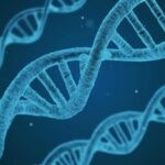 DNA exclusivo e 'xadrez urbano' transformaram com sucesso a terra do oblite em um campo de ouro