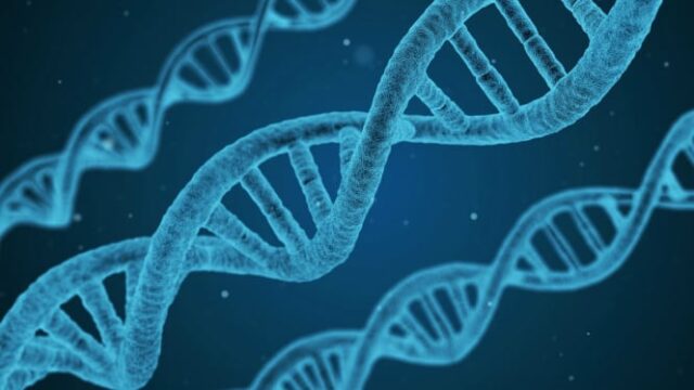 DNA exclusivo e 'xadrez urbano' transformaram com sucesso a terra do oblite em um campo de ouro

