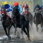 Dados interessantes da Crown Triple, o título mais presente na arena de corrida de cavalos