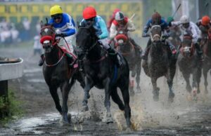 Dados interessantes da Crown Triple, o título mais presente na arena de corrida de cavalos Dados interessantes da Crown Triple, o título mais presente na arena de corrida de cavalos