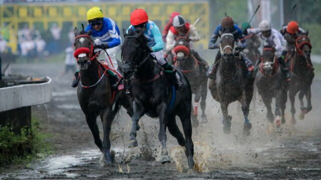 Dados interessantes da Crown Triple, o título mais presente na arena de corrida de cavalos

