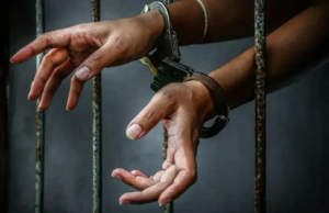 Delta Pilot prendeu a acusação de crimes sexuais infantis em São Francisco Delta Pilot prendeu a acusação de crimes sexuais infantis em São Francisco